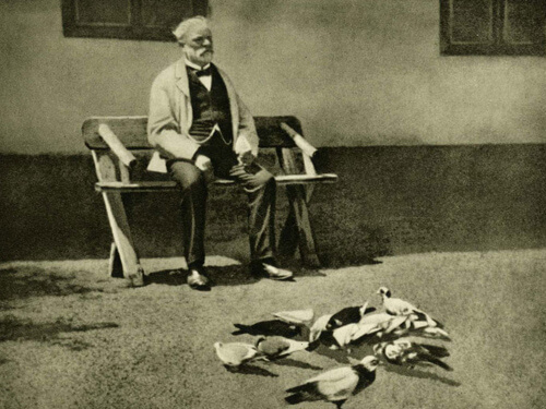 Dvořák sitting with pigeons