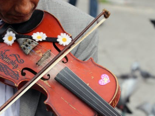 photo of violin with daisies on it